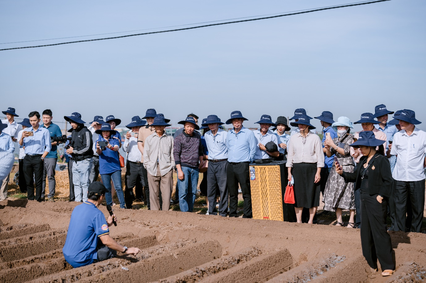 Mô hình chính thức được nhân rộng ra các tỉnh phía Bắc từ vụ Đông Xuân 2024-2025.