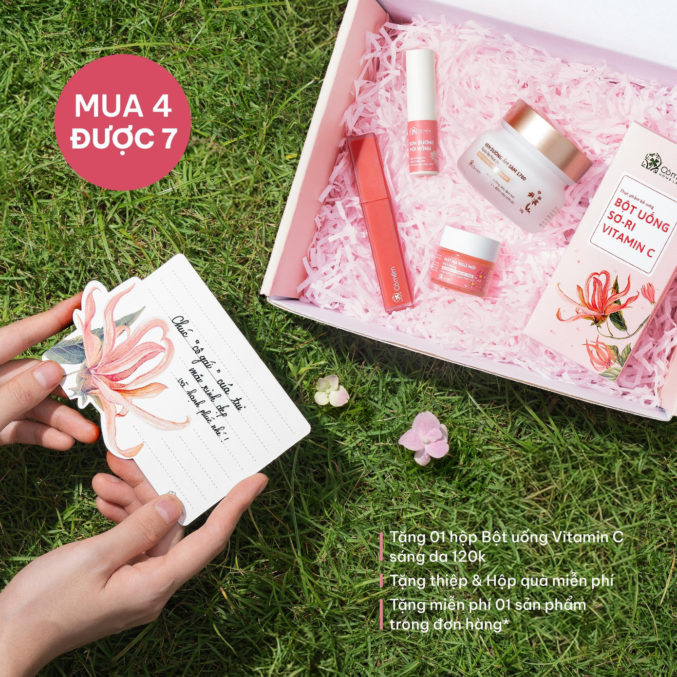 Chương trình khuyến mãi hấp dẫn từ thương hiệu Cỏ Mềm Chương trình khuyến mãi hấp dẫn từ thương hiệu Cỏ Mềm