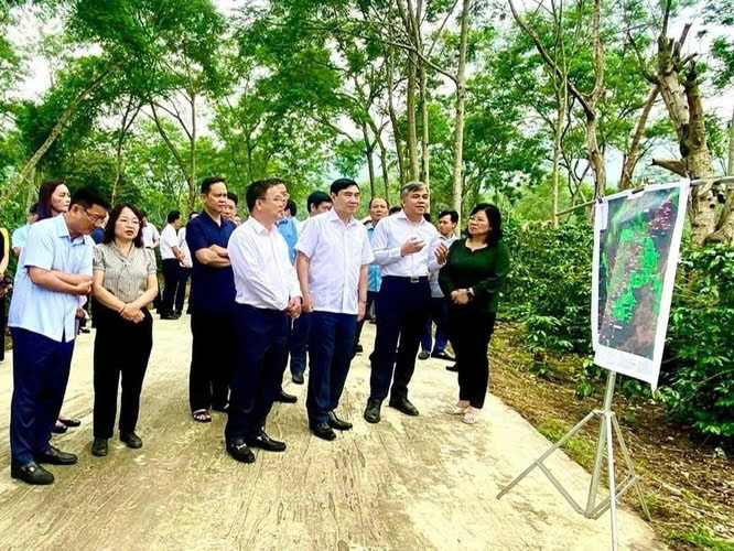 Bí thư tỉnh ủy Điện Biên Trần Quốc Cường thăm và chỉ đạo định hướng phát triển cây cà phê.
