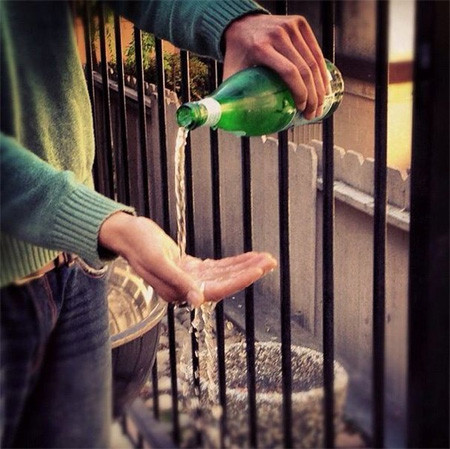 Lavish chỉ rửa tay bằng nước khoáng. Lavish chỉ rửa tay bằng nước khoáng