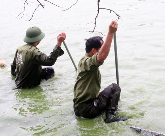 Mặt nước sâu hơn 1,5m lại thêm lớp bùn tầm 0,5m khiến việc kéo lưới gặp nhiều khó khăn Ảnh: X.T