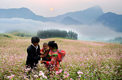“Hạnh phúc bên đồi hoa” của Ngocbangphoto