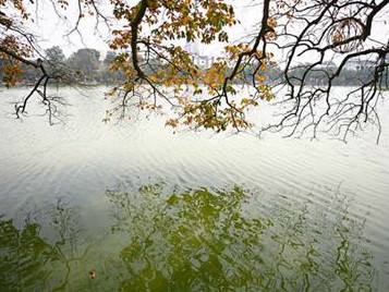 Ảnh minh họa. Nguồn: Internet