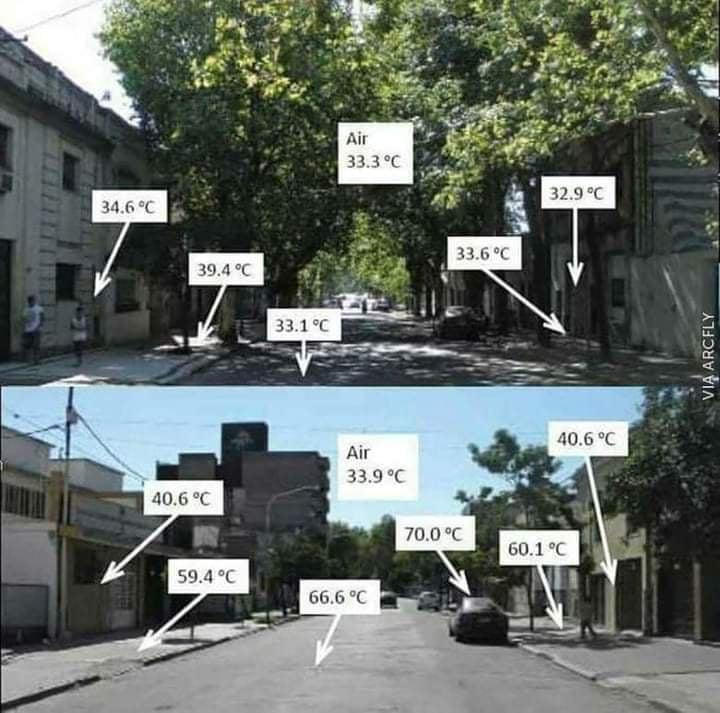 Tấm hình một nghị sỹ Hungary đưa lên mạng xã hội thể hiện nhiệt độ ở các khu vực trên đường, với sự chênh lệch khá lớn giữa khu vực có cây xanh và không có cây xanh nhằm kêu gọi trồng thêm nhiều cây xanh để hạ nhiệt độ môi trường Tấm hình một nghị sỹ Hungary đưa lên mạng xã hội thể hiện nhiệt độ ở các khu vực trên đường, với sự chênh lệch khá lớn giữa khu vực có cây xanh và không có cây xanh nhằm kêu gọi trồng thêm nhiều cây xanh để hạ nhiệt độ môi trường