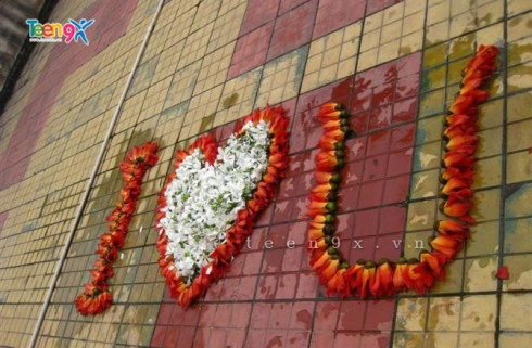 Những bông hoa gạo đỏ và những cánh hoa trắng của tình yêu