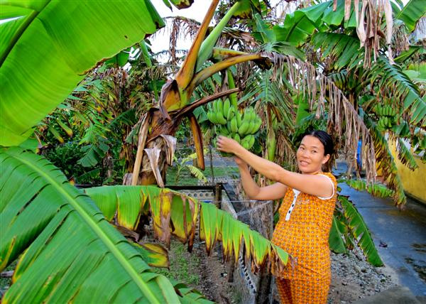 Chị Lương Thị Tình (đang mang bầu) bên cạnh vườn cây nhà mình