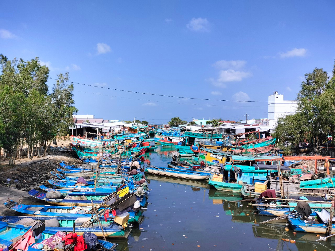 Huyện Trần Văn Thời (Cà Mau) được chia làm 3 vùng sản xuất: Vùng Bắc Cà Mau sản xuất theo hệ sinh thái ngọt khoảng 53.000ha, vùng Nam Cà Mau chuyển dịch theo hướng trồng một vụ lúa trên đất nuôi tôm, chuyên tôm khoảng 17.000ha và vùng kinh tế biển. Huyện Trần Văn Thời (Cà Mau) được chia làm 3 vùng sản xuất: Vùng Bắc Cà Mau sản xuất theo hệ sinh thái ngọt khoảng 53.000ha, vùng Nam Cà Mau chuyển dịch theo hướng trồng một vụ lúa trên đất nuôi tôm, chuyên tôm khoảng 17.000ha và vùng kinh tế biển.