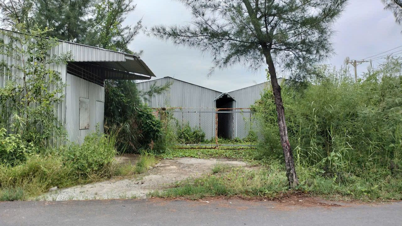 Khu cách ly phòng chống dịch COVID-19 huyện Đông Hải bỏ hoang, mất trộm trang thiết bị. Khu cách ly phòng chống dịch COVID-19 huyện Đông Hải bỏ hoang, mất trộm trang thiết bị.