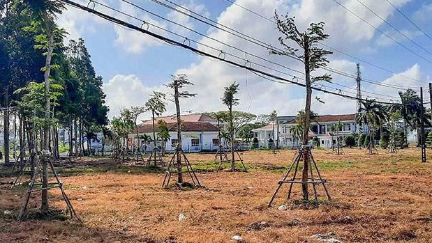 Cây xanh ở huyện Thới Bình (Cà Mau). Ảnh minh họa. Cây xanh ở huyện Thới Bình (Cà Mau). Ảnh minh họa.