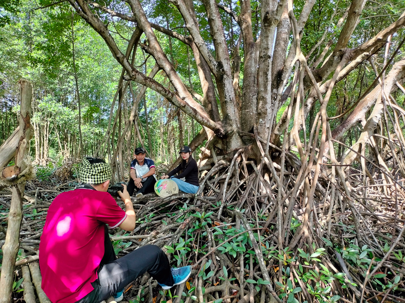 Cây đước này đặc biệt hơn các cây đước khác vì có đến 11 ngọn, bộ rễ ăn chùm xuống và lan rộng giống như bộ rễ cây mắm (loài cây đặc trưng khác của vùng Đất Mũi – PV). Bề hoành cây đước khoảng 4 người ôm.