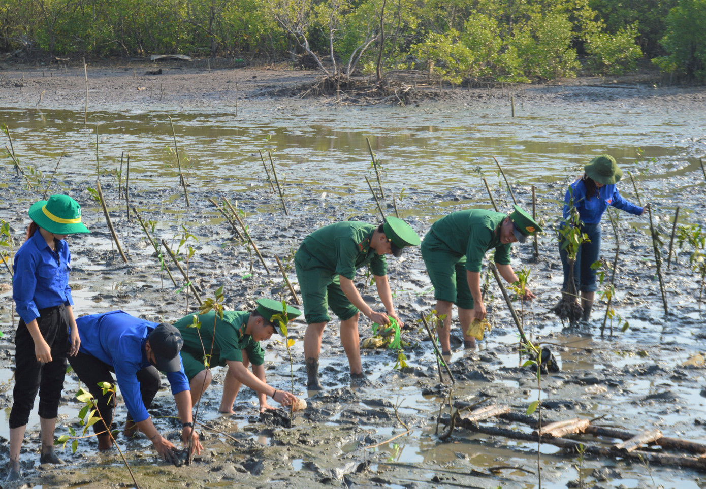 Hơn 5.000 cây xanh đã được trồng tại Cà Mau trong sáng 25/2.