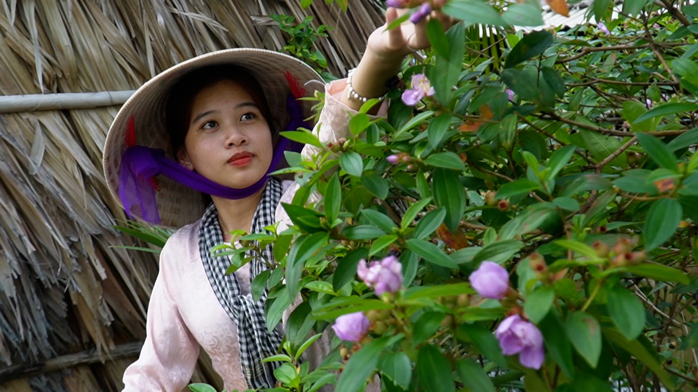 Cây mua là loài cây dại thường mọc ở những nơi ít ánh sáng dưới tán rừng hoặc ven các bờ kênh, bãi hoang, có ở hầu hết vùng miền trên cả nước. Hoa mua có nhiều loại, nhiều màu nhưng chủ yếu màu tím. Cây mua là loài cây dại thường mọc ở những nơi ít ánh sáng dưới tán rừng hoặc ven các bờ kênh, bãi hoang, có ở hầu hết vùng miền trên cả nước. Hoa mua có nhiều loại, nhiều màu nhưng chủ yếu màu tím.