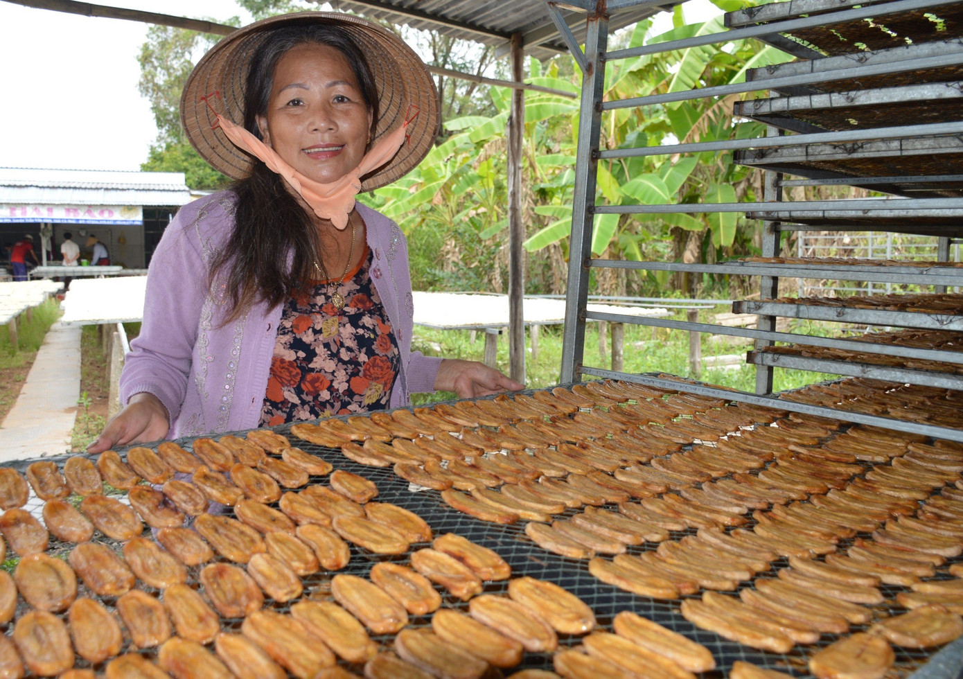 Toàn xã Trần Hợi hiện có 2 cơ sở đã đầu tư máy sấy để chủ động sản xuất nếu điều kiện thời tiết không thuận lợi.