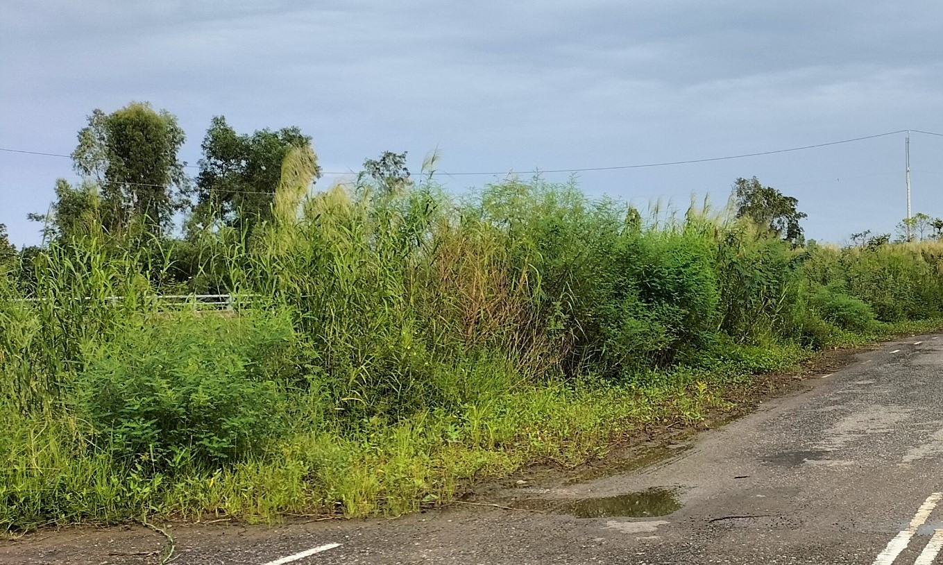 Tỉnh Bạc Liêu có một dự án trồn cây do Công ty TNHH Cây Xanh Công Minh thực hiện. Tỉnh Bạc Liêu có một dự án trồn cây do Công ty TNHH Cây Xanh Công Minh thực hiện.