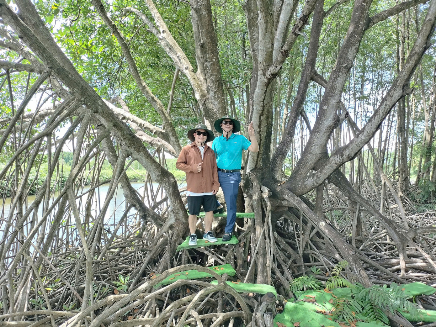 Ông Nguyễn Huy Khôi, du khách từ thành phố Hồ Chí Minh cho biết ông nhiều lần xuống Đất Mũi nhưng không biết có cây đước “hàng hiếm” như thế. Tình cờ, ông được người bạn dẫn ra tham quan thấy ngỡ ngàng. Cây đước to đẹp, cổ thụ và phong cảnh rất mát mẻ, hữu tình.