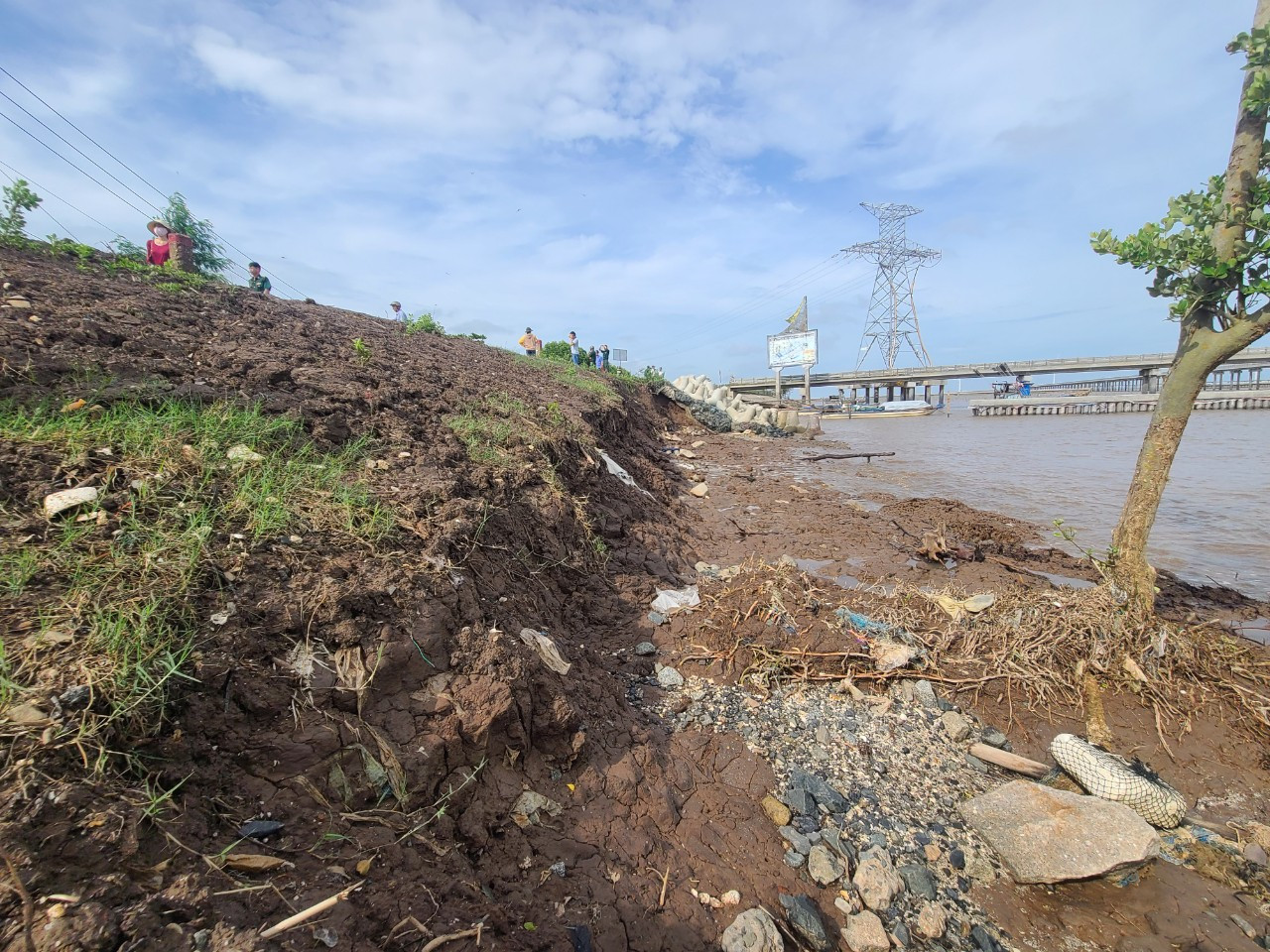 Ngành nông nghiệp tỉnh Bạc Liêu nhận định, từ đây đến mùa gió chướng (từ tháng 10 - 12 hằng năm) có sóng to gió lớn, vị trí này khả năng tiếp tục sạt lở càng nghiêm trọng. Nếu không có giải pháp khắc phục khẩn cấp sẽ nguy cơ vỡ đê rất cao.