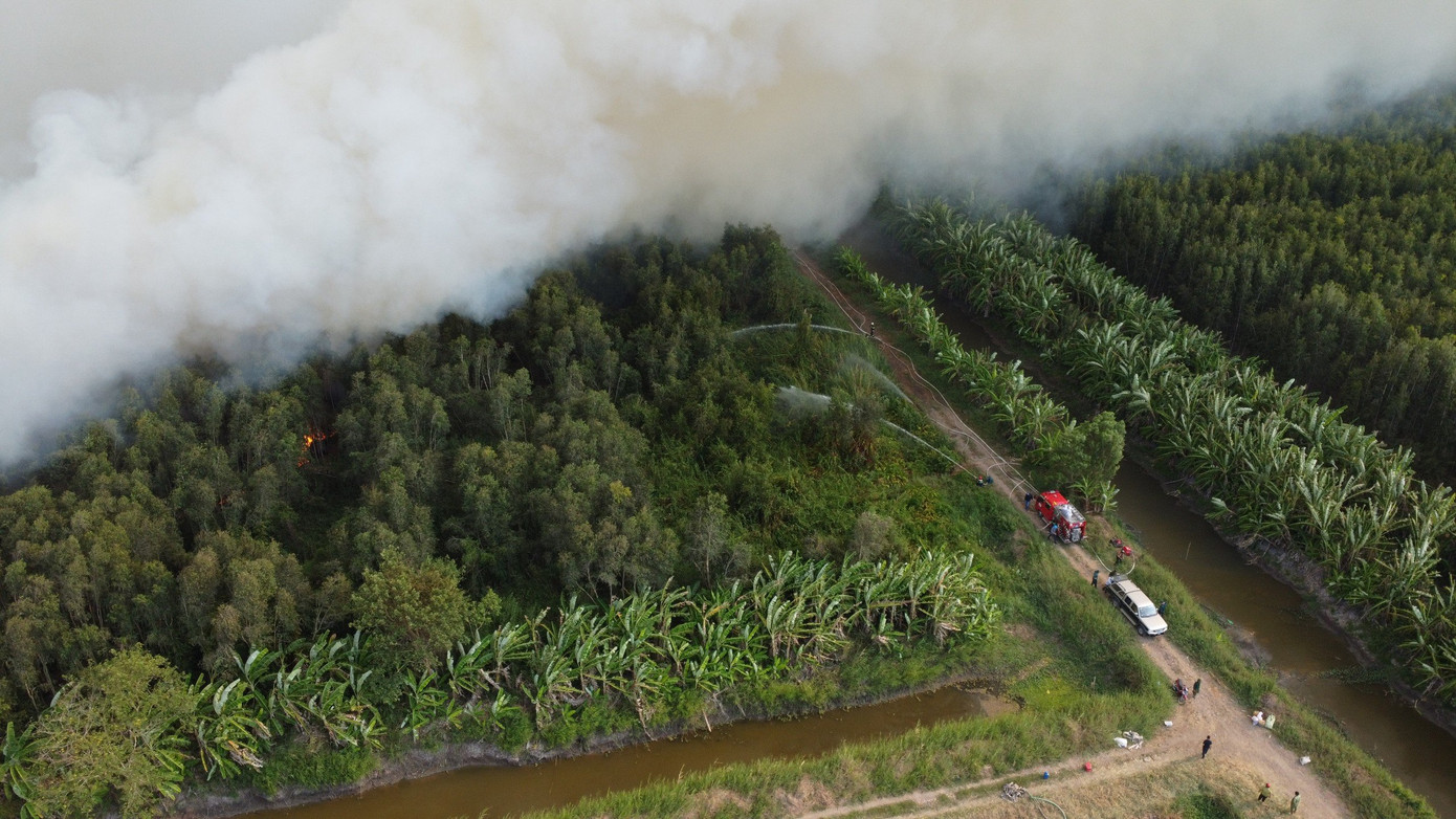 "Trước mắt, lực lượng chữa cháy đang cố gắng làm chậm đám cháy và bố trí các lực lượng từ xa túc trực xử lý sự cố nhằm đảm an toàn cho 20 hộ dân sinh sống gần khu vực xảy ra cháy", ông Vũ cho hay. "Trước mắt, lực lượng chữa cháy đang cố gắng làm chậm đám cháy và bố trí các lực lượng từ xa túc trực xử lý sự cố nhằm đảm an toàn cho 20 hộ dân sinh sống gần khu vực xảy ra cháy", ông Vũ cho hay.
