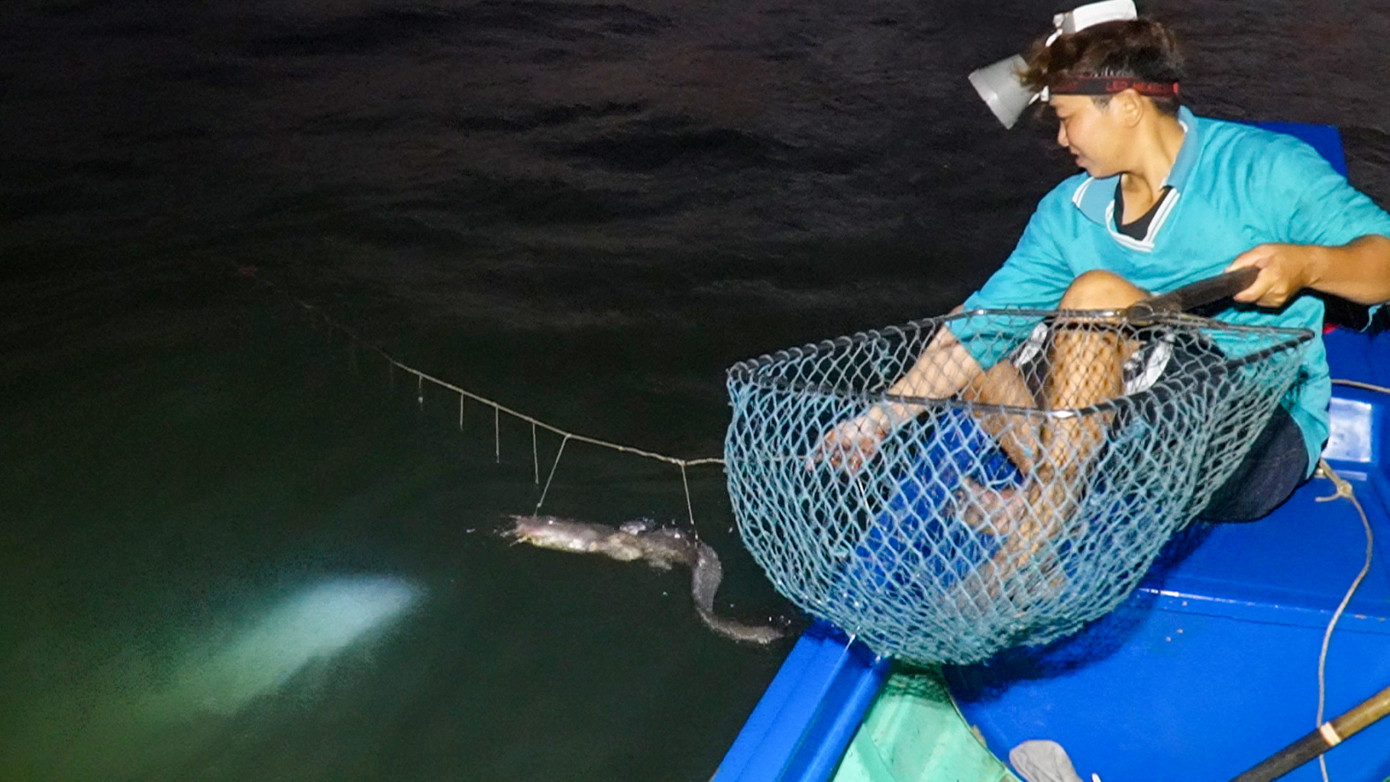 Mỗi người khi đánh bắt sẽ có hàng trăm gắp câu với hàng triệu lưỡi câu được thả xuống biển, các đoạn dây câu có thể lên đến 3km. Mỗi người khi đánh bắt sẽ có hàng trăm gắp câu với hàng triệu lưỡi câu được thả xuống biển, các đoạn dây câu có thể lên đến 3km.