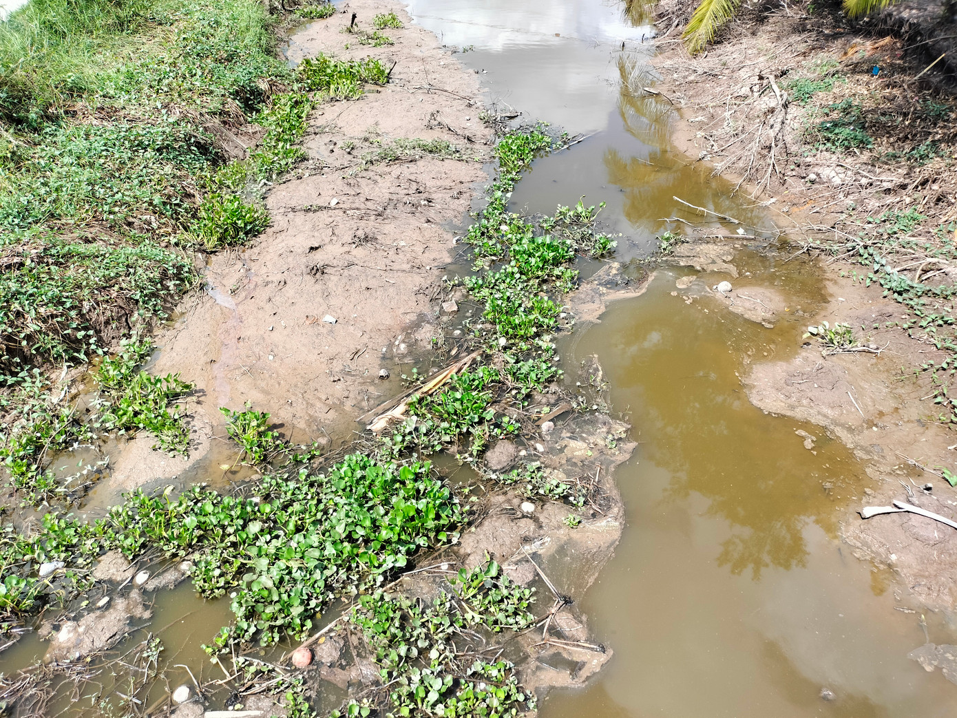 Hầu hết các tuyến kênh trên vùng ngọt của huyện Trần Văn Thời, Cà Mau đã hoàn toàn khô cạn, tình trạng sụt lún, sạt lở đang tiếp tục diễn với quy mô và tần suất ngày càng cao.