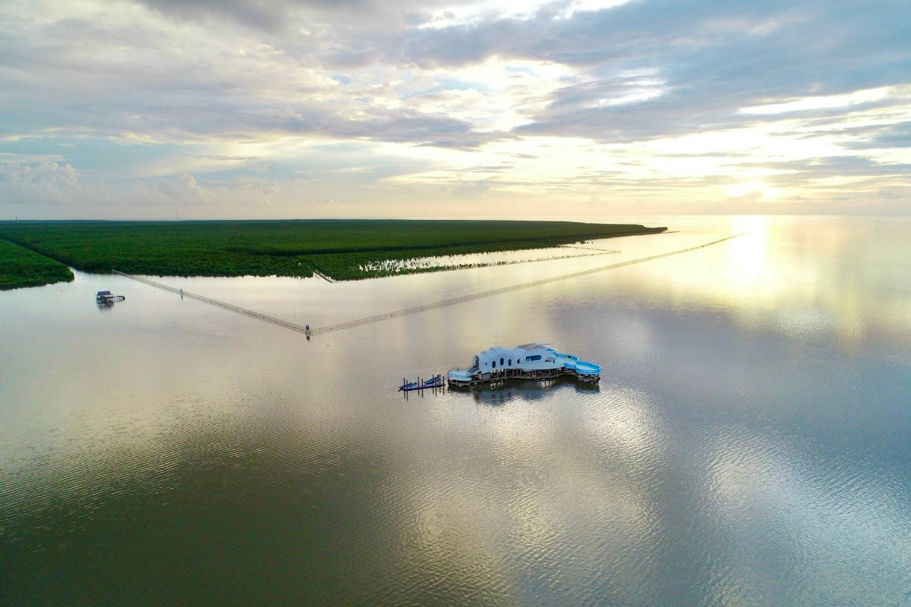 Có thể nói, tạo hóa đã hào phóng ban cho Đất Mũi một điều kỳ diệu và độc đáo không nơi nào có được, mà cư dân vùng này ví von là: “nơi đất biết nở, rừng biết đi”. Ảnh: Văn Dũng.