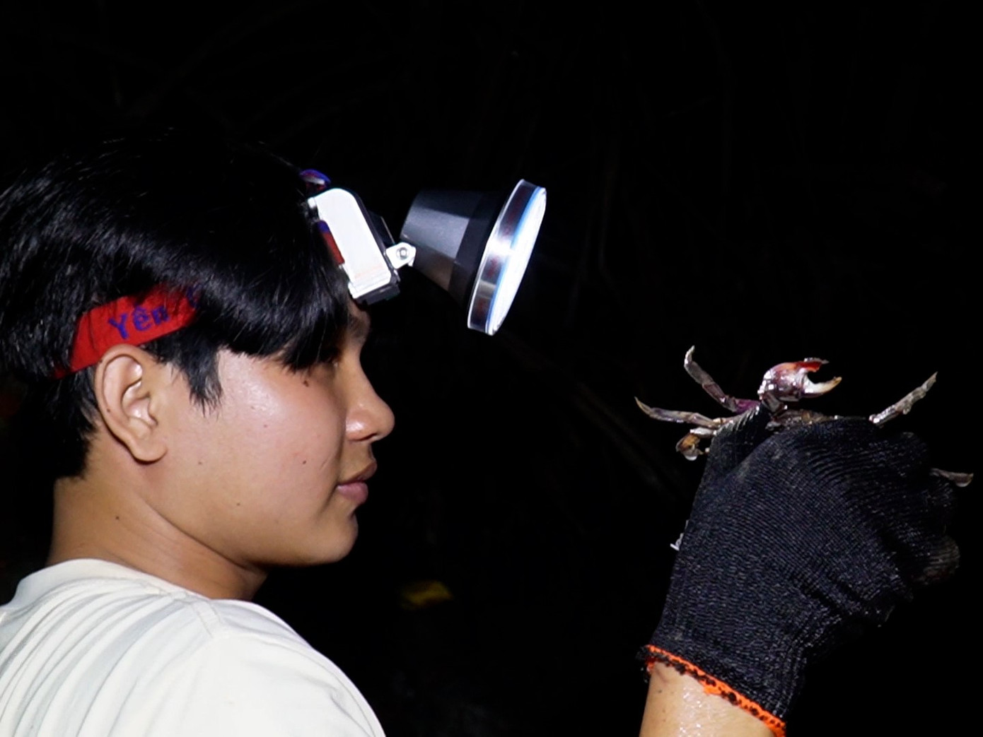 Du khách thường ít kinh nghiệm nên bắt ba khía không được nhiều, nhưng là trải nghiệm thú vị nếu có dịp về với Đất Mũi trong mùa ba khía.