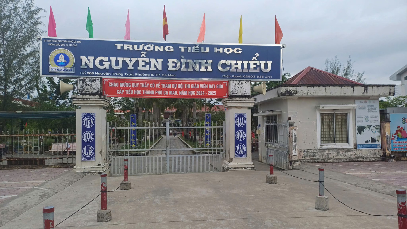 Trường tiểu học Nguyễn Đình Chiểu (phường 8, TP. Cà Mau). Trường tiểu học Nguyễn Đình Chiểu (phường 8, TP. Cà Mau).