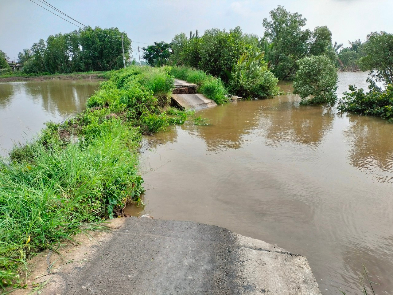 Đoạn đường giao thông nông thôn bị sạt lở tại huyện Đông Hải (tỉnh Bạc Liêu). Đoạn đường giao thông nông thôn bị sạt lở tại huyện Đông Hải (tỉnh Bạc Liêu).