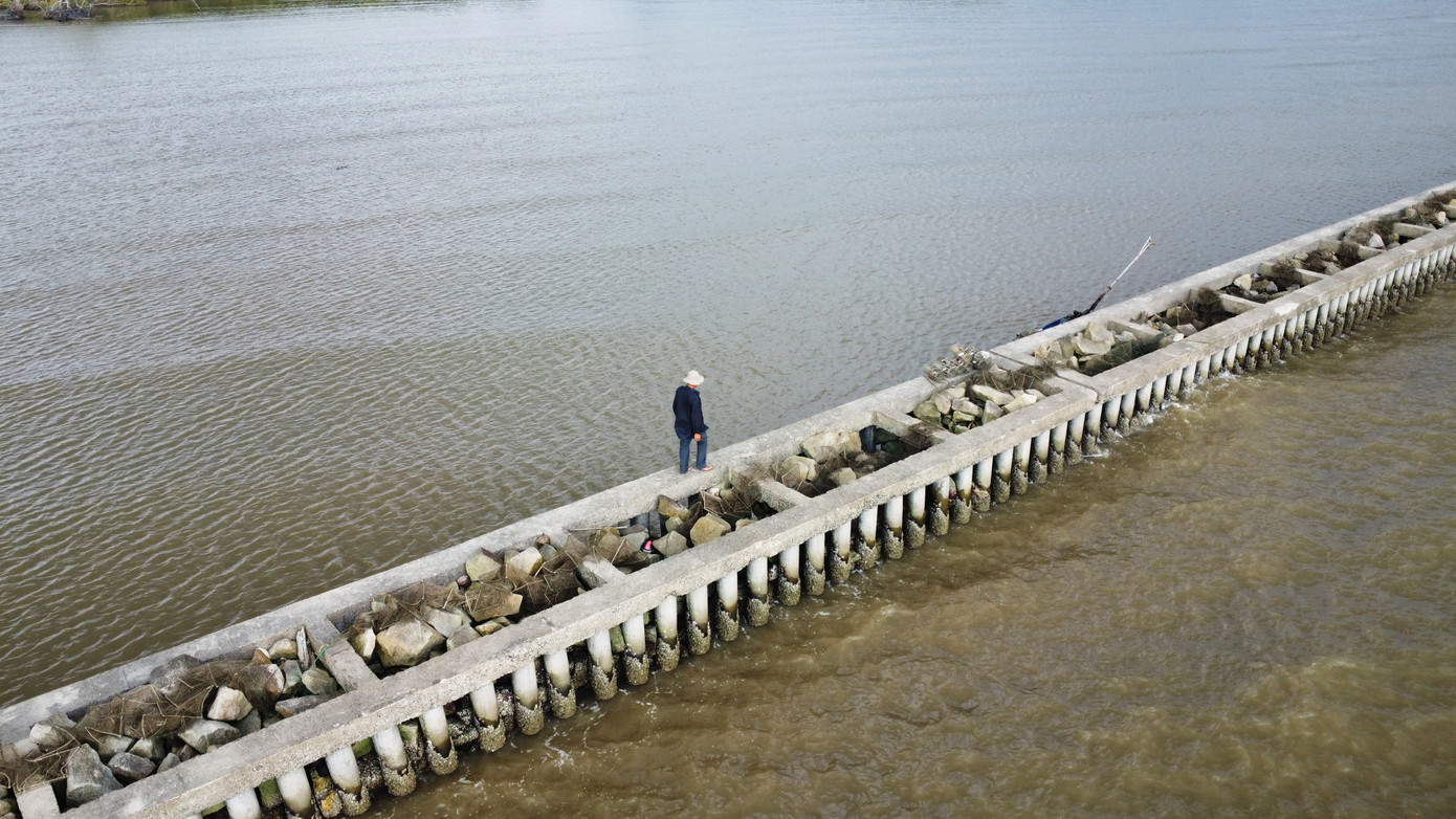 Đê biển Tây thích hợp cho cua đá trú ngụ và sinh sống.