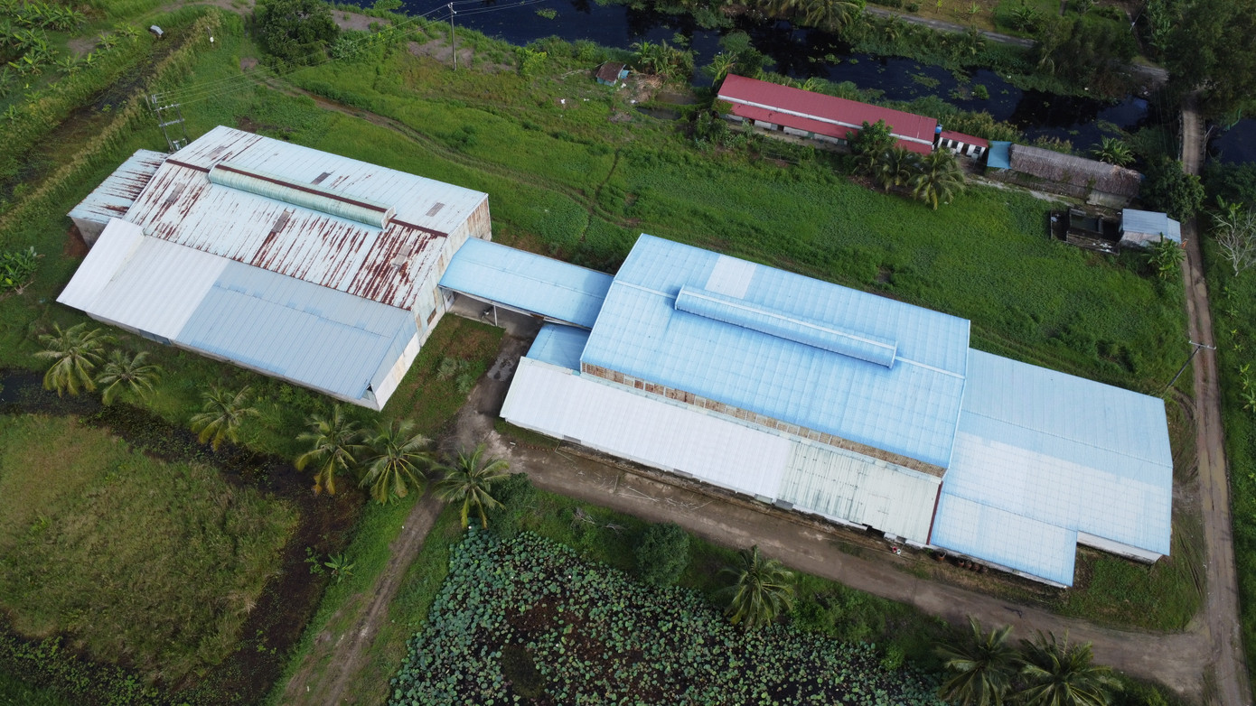 Công ty đã tự ý đầu tư khu vực văn phòng, nhà máy chế biến gạo, kho diện tích hơn 3ha trên đất lúa.