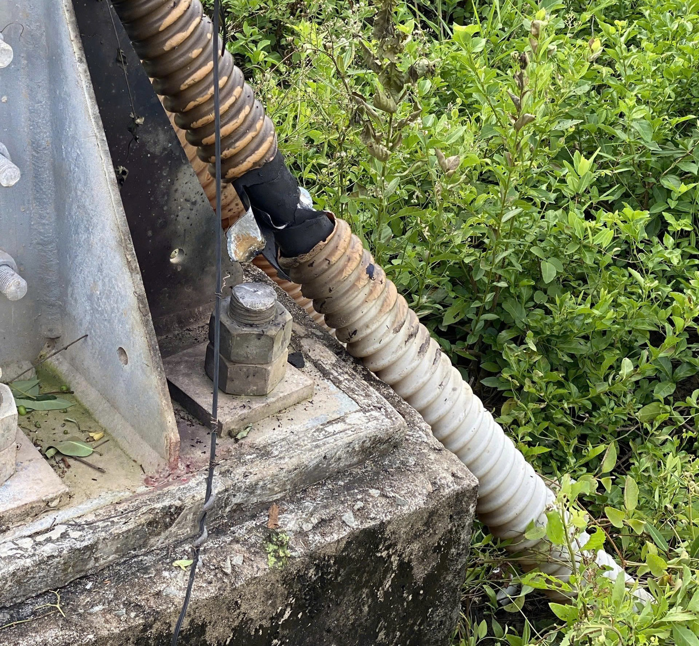 Vị trí đoạn dây điện bị cháy đen.