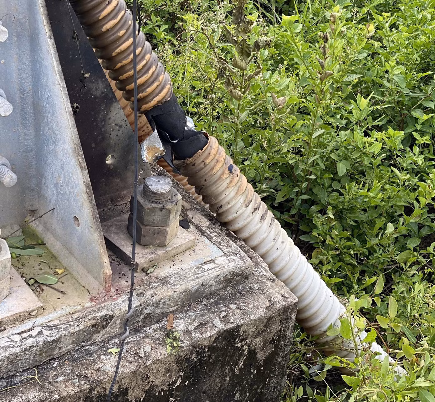 Vị trí đoạn dây điện bị cháy đen.