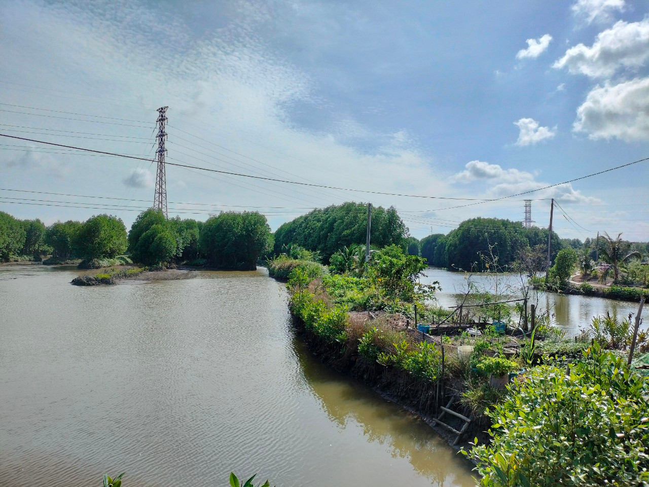 Thu hồi trên 335 triệu đồng sau thanh tra tại Công ty Lâm nghiệp Ngọc Hiển. Ảnh minh họa. Thu hồi trên 335 triệu đồng sau thanh tra tại Công ty Lâm nghiệp Ngọc Hiển. Ảnh minh họa.