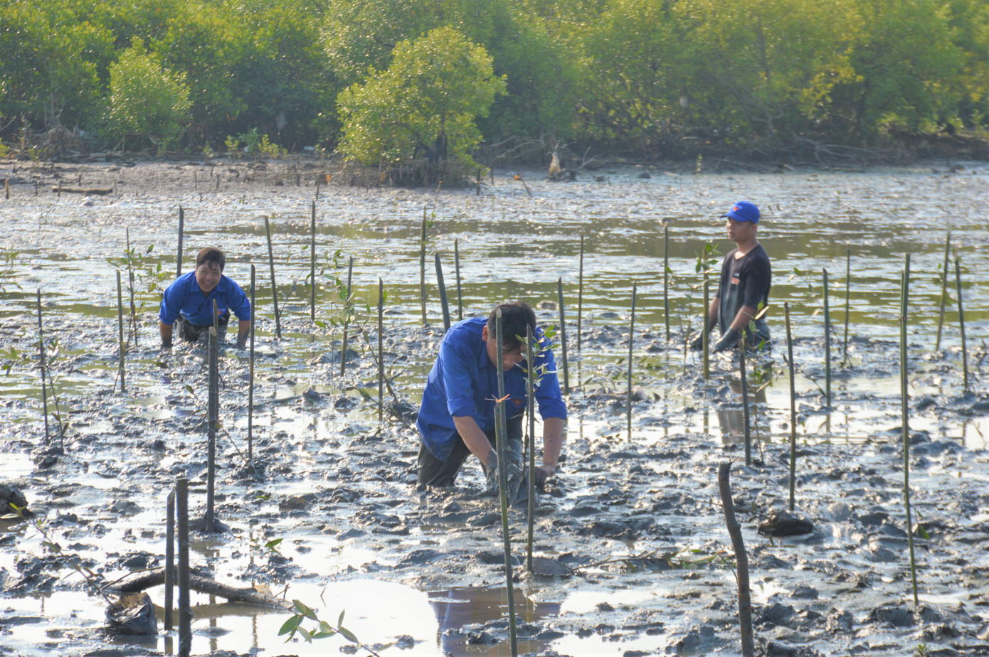Chương trình trồng cây “Sức sống Xanh – Vì Cà Mau xanh” từng được bình chọn là 1 trong 12 công trình thanh niên tiêu biểu toàn quốc năm 2023.