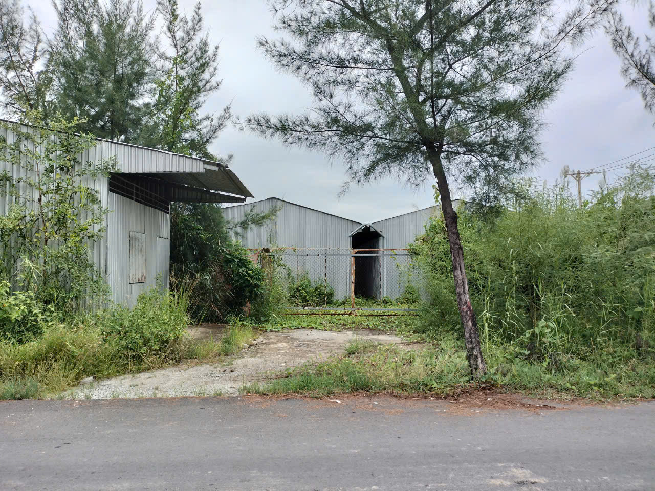 Khu cách ly phòng chống dịch COVID-19 huyện Đông Hải bỏ hoang, mất trộm trang thiết bị. Khu cách ly phòng chống dịch COVID-19 huyện Đông Hải bỏ hoang, mất trộm trang thiết bị.