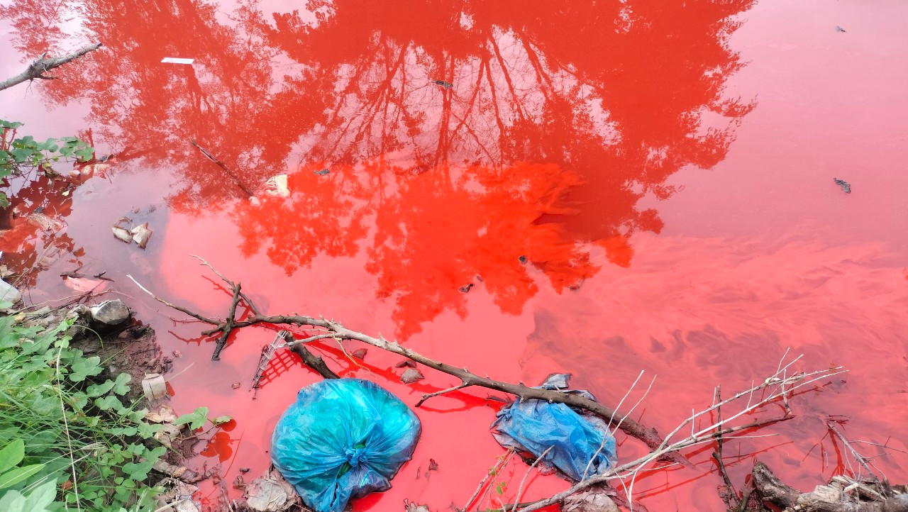 Nước tuyến kênh Nàng Âm lại tái diễn tình trạng chuyển sang màu đỏ, nhưng nhạt hơn. Ảnh chụp ngày 7/7.