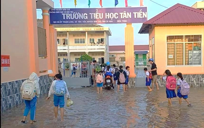 Học sinh Trường tiểu học Tân Tiến đi học rất vất vả do triều cường dâng cao.