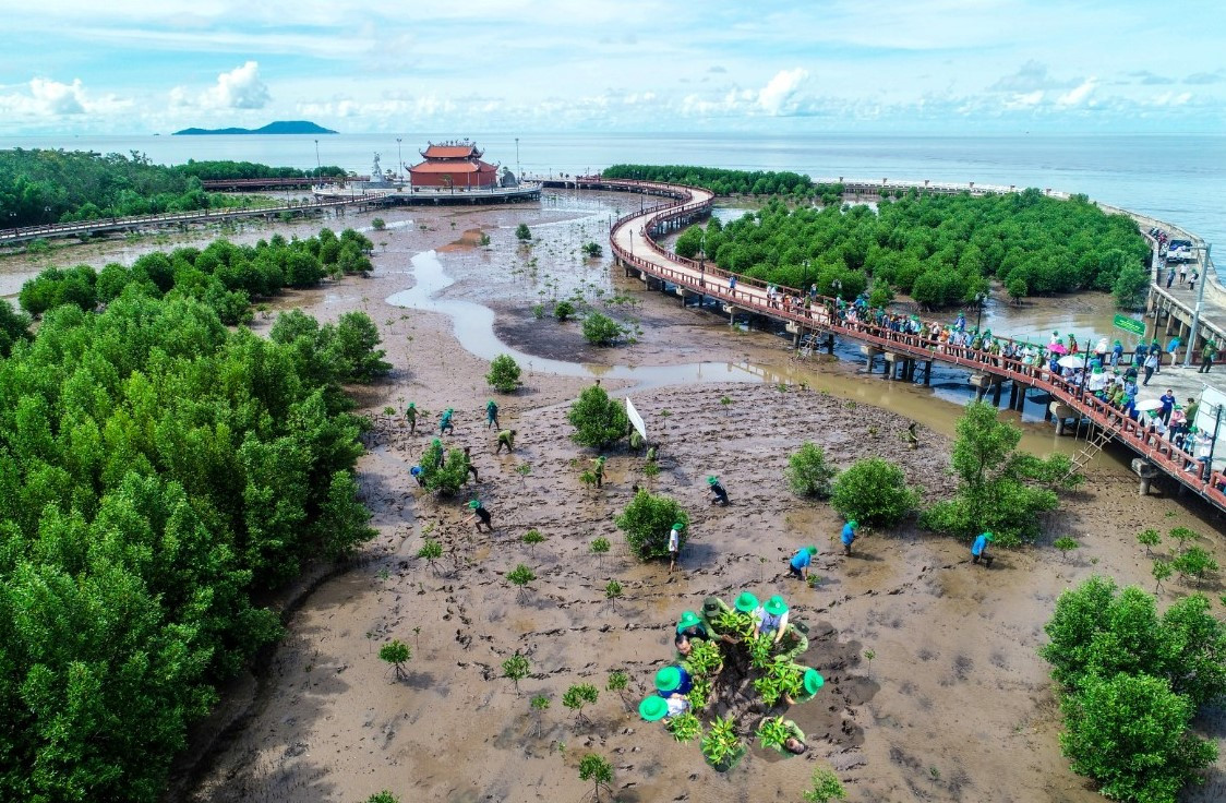 Từ trên cao, du khách có thể ngắm toàn cảnh quan rừng ngập mặn Cà Mau, ngắm biển Đông rộng lớn, cụm đảo Hòn Khoai và bãi bồi biển Tây.