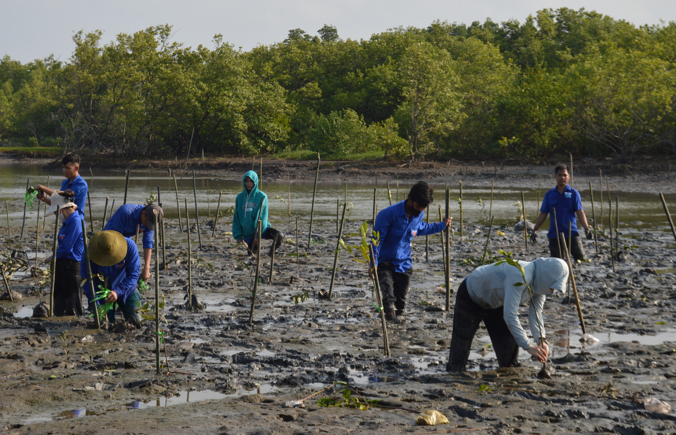 Hàng trăm bạn trẻ tham gia trồng cây trên bãi bồi.