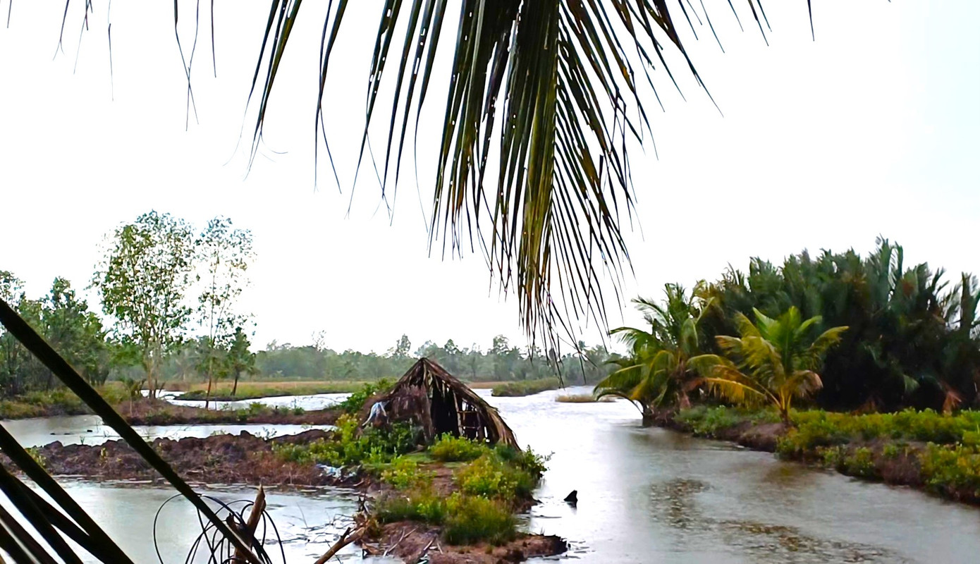 Một số mô hình nằm trong chương trình MTQG giảm nghèo bền vững tại huyện Cái Nước hiệu quả không cao (Ảnh minh họa).