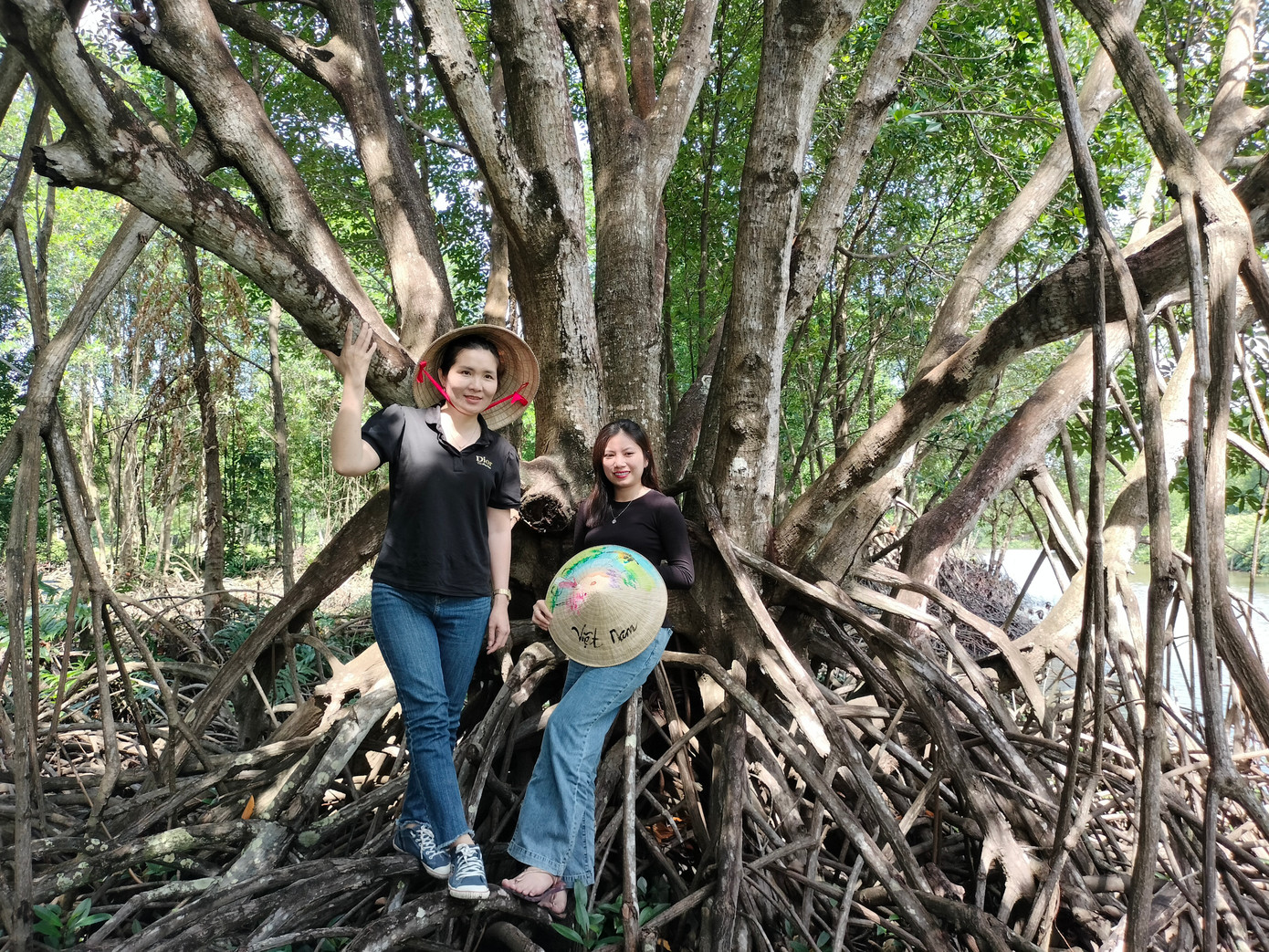 Tán cây đước rộng nên du khách có thể ngồi hoặc leo lên thân đước, ai cũng vô cùng hứng thú chụp ảnh lưu giữ kỷ niệm.