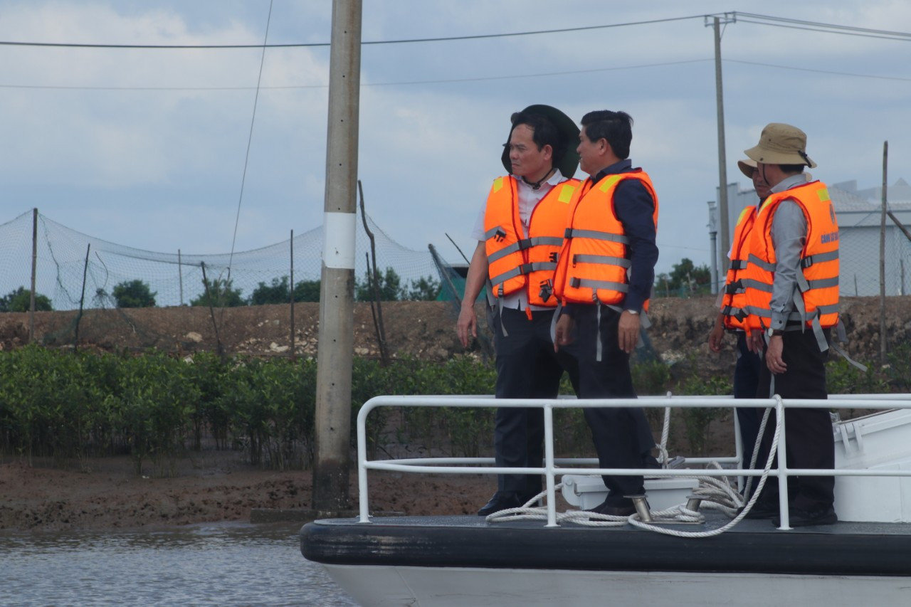 Phó Thủ tướng Trần Lưu Quang khảo sát sạt lở bờ sông tại Cà Mau.