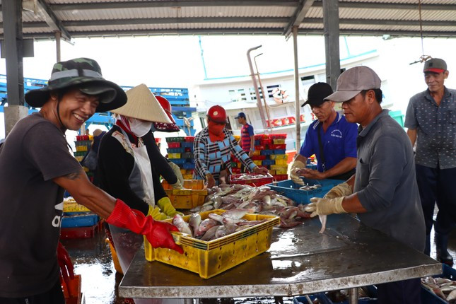 Ngư dân Cà Mau quyết tâm cùng cả nước gỡ “thẻ vàng” IUU.