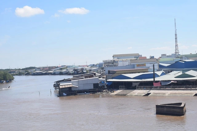 Dự án xây dựng kè chống sạt lở khu dân cư thị trấn Năm Căn. Ảnh: CTV.