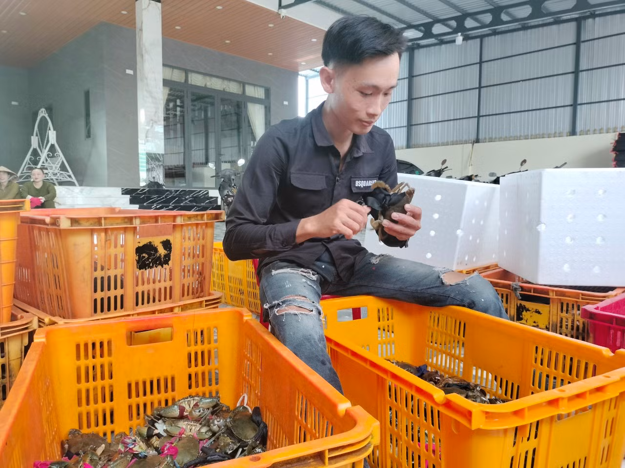 Tỉnh Cà Mau không ghi nhận trường hợp cua không xuất khẩu được sang thị trường Trung Quốc.