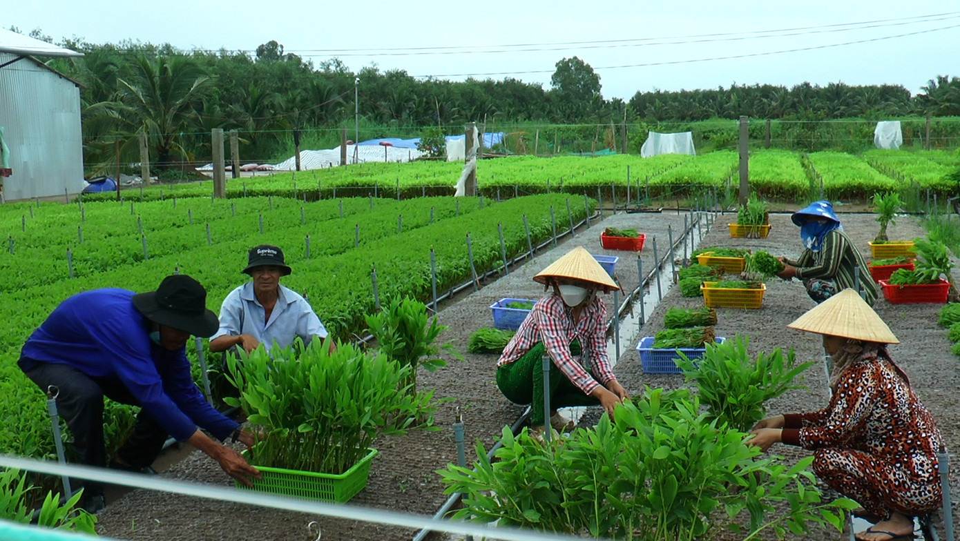 Trương Trọng Nguyễn là một trong những thạc sĩ đầu tiên và hiếm hoi về quê hương phát triển kinh tế rừng, hỗ trợ người dân.