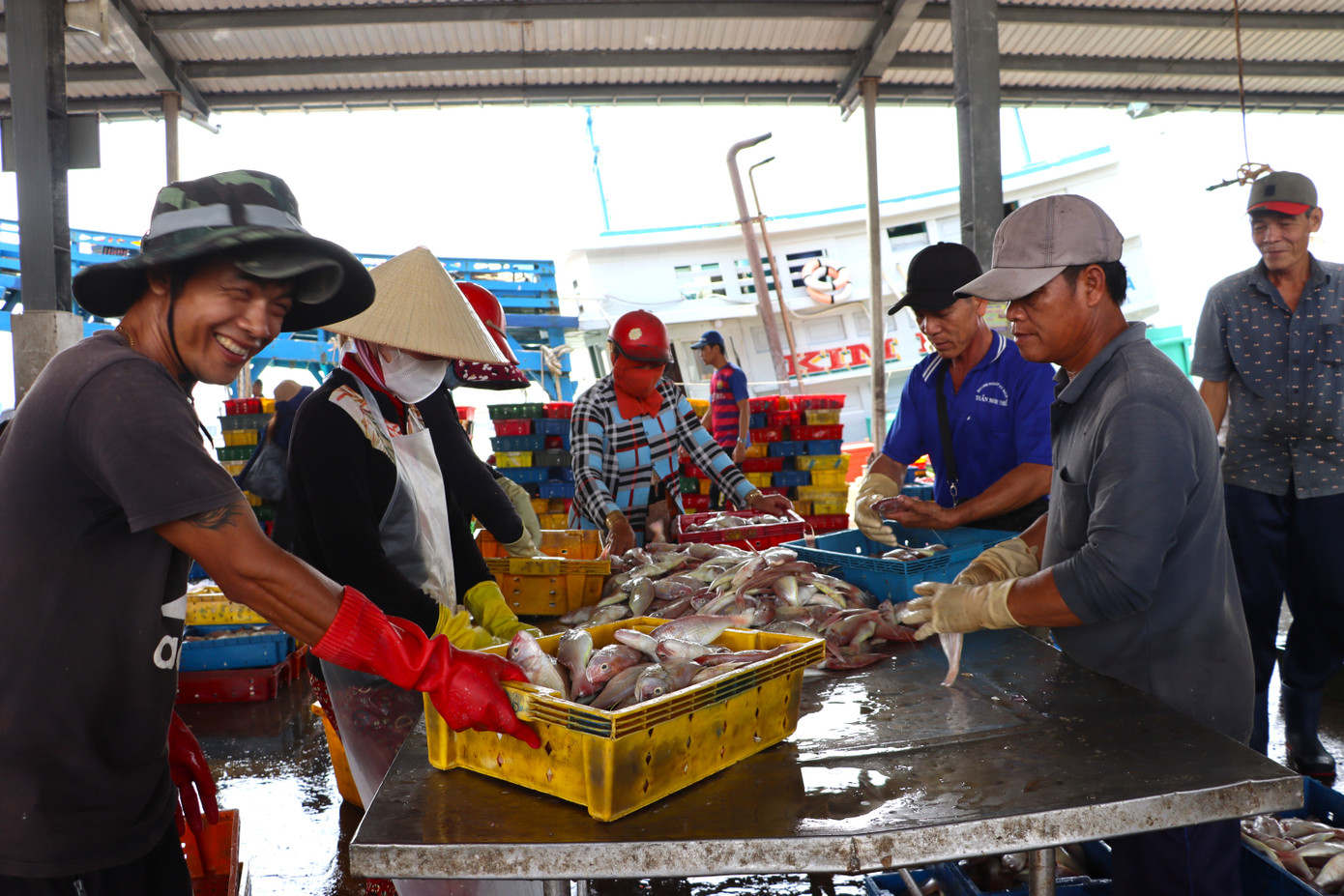 Tỉnh Cà Mau quyết liệt trong công tác chứng nhận nguồn gốc thủy sản khai thác.