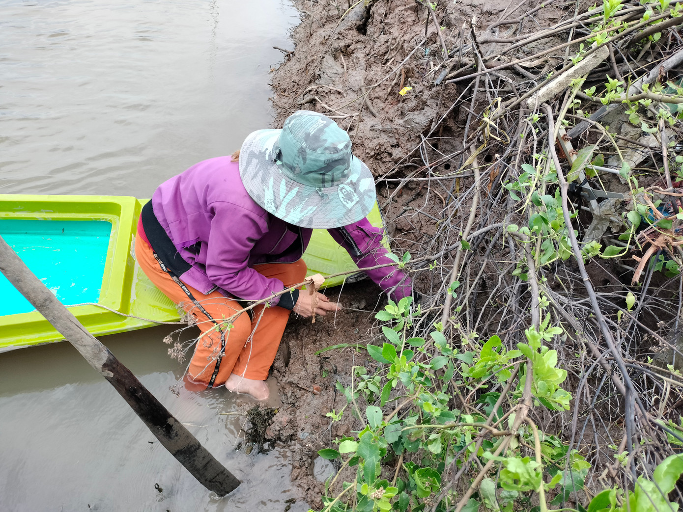 Chem chép thường làm hang và trú ẩn dưới lớp đất bùn từ 20-30cm.