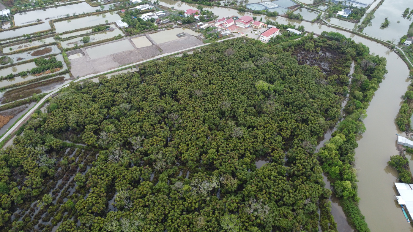 Khu đất vườn chim Chà Là tại xã Đông Hưng, huyện Cái Nước, tỉnh Cà Mau, trước đây thuộc sở hữu của ông Cao Triều Phát (1889 - 1956, quê tỉnh Bạc Liêu) nguyên cố vấn Ủy ban kháng chiến hành chính Nam bộ, năm 1954 gia đình ông tặng lại khu vườn cho Nhà nước.