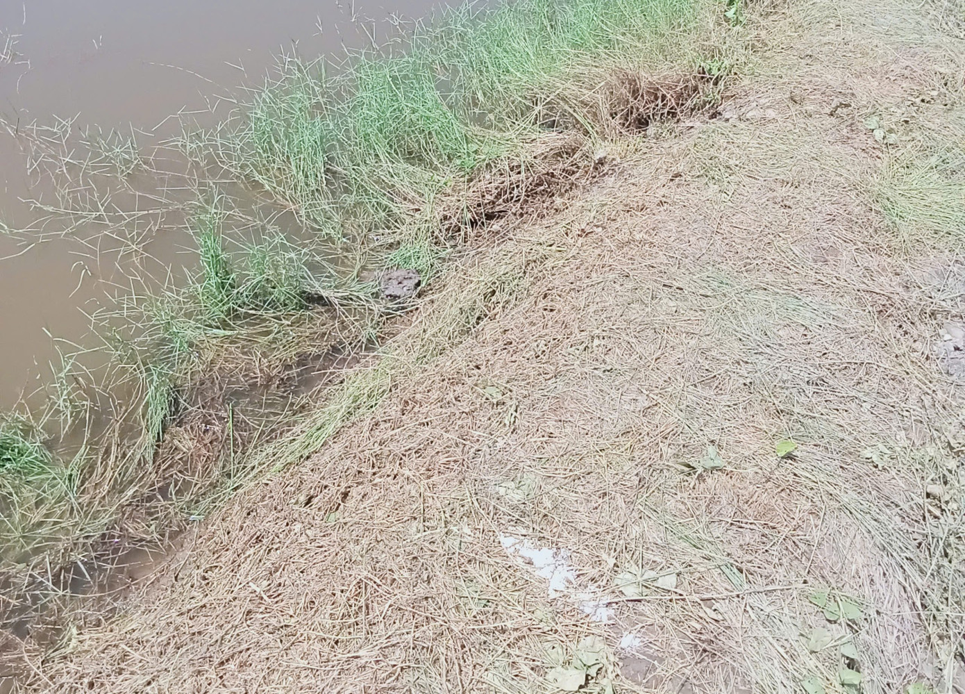 Hiện trường vụ việc. Hiện trường vụ việc.