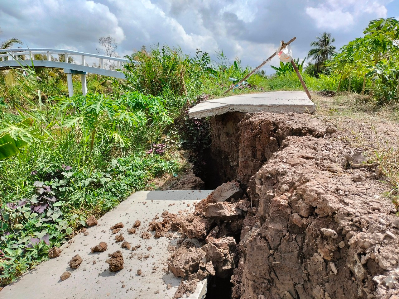 Đường giao thông nông thôn bị ở xã Khánh Hải (huyện Trần Văn Thời) bị chia cắt do sạt lở.